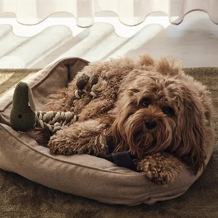 C12 Mit Balkon & Nutzung Der Wellness- & Aktivbereiche Im 