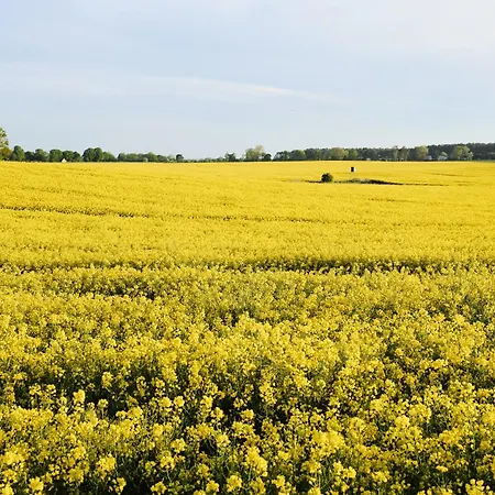 公寓 C12 Mit Balkon & Nutzung Der Wellness- & Aktivbereiche Im 