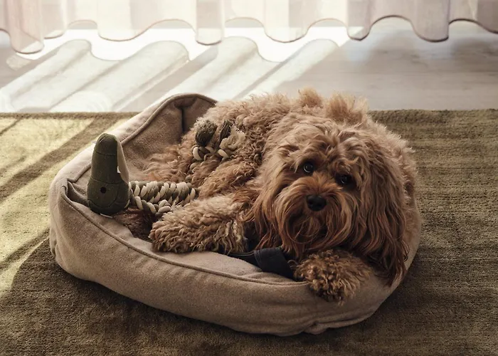 C12 Mit Balkon & Nutzung Der Wellness- & Aktivbereiche Im 