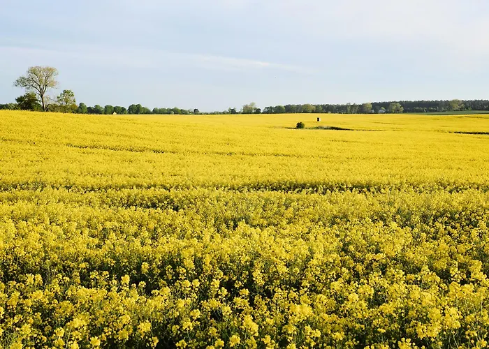 아파트 C12 Mit Balkon & Nutzung Der Wellness- & Aktivbereiche Im 